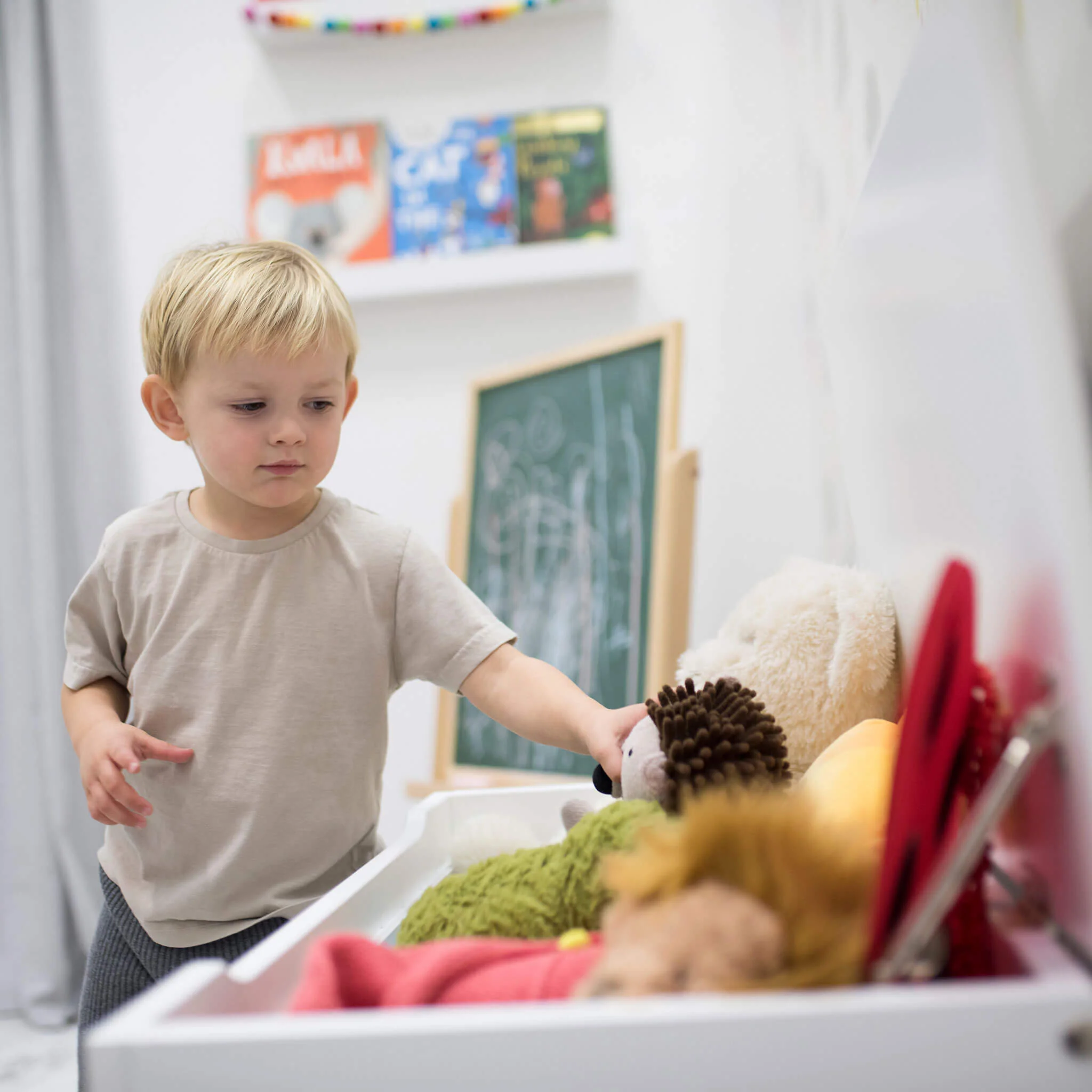 Toy Box - Image 7